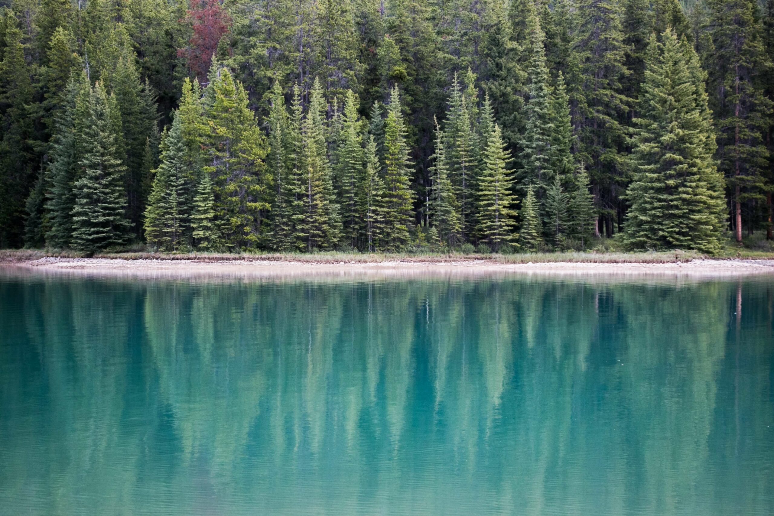joshua-reddekopp--3uIUqsR-Rw-unsplash