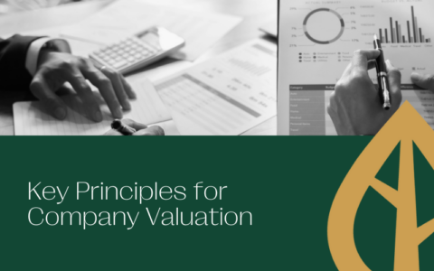 Key Principles for Company Valuation